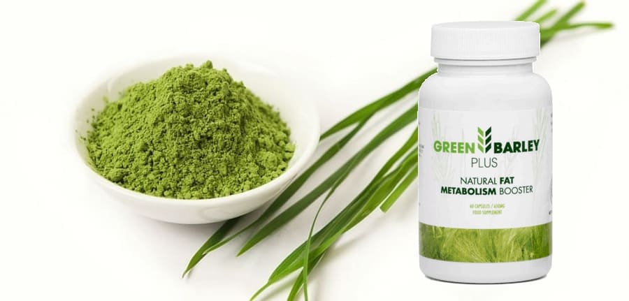 green barley plus opiniones reales
